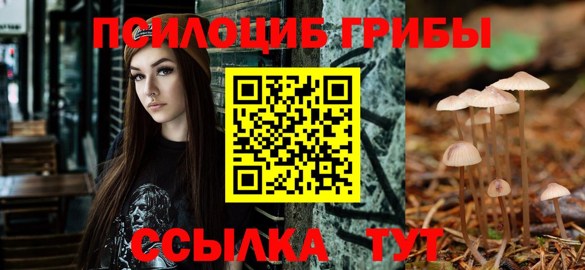 Красноуфимск  Псилоцибиновые грибы GOLDEN TEACHER  Вход с VPN 