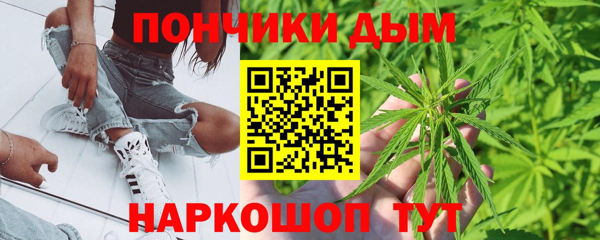 Канабис сатива Красноуфимск